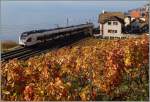 Ein SBB Flirt RABe 523 bei den letzten bunten Herbst-Blättern bei St Saphorin.