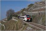  Fernverkehr  auf der Train de Vignes Strecke: der für den Fernverkehr beschaffte SBB Flirt3 RABe 523 503  Mouette  (RABe 94 85 0 523 503-6 CH-SBB) ist als S7 auf der Train de Vignes Strecke zwischen Puidoux und Vevey unterwegs verlässt soeben den nur 20 Meter langen Salanfe Tunnel oberhalb von St-Saphorin. 

11. Februar 2023