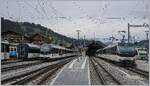 Zweisimmen, bis auf etwas BLS gr�n rechts im Bild und MOB Hellblau im linken Bildteil herrschen die MOB Einheitsfarben vor, die bei diesem dunklen Wetter etwas an Fr�hlichkeit vermissen lassen.