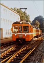 Der WSB Regionalzug 113 von Aarau nach Menziken Burg bei der Ausfahrt in Teufenthal. 
4. Sept. 1984