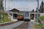 In Winteregg kreuzen sich der neue Be 4/6 101  Eiger  auf der Fahrt nach Mürren und der Be 4/4 31  Lisi  unterwegs von Mürren nach der Grütschalp .