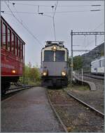 Blonay - Chamby - La Der 2026 - 60 apr�s les CEV (Saison Ende der Blonay Chamby Bahn, 60 Jahre nach dem Betriebsschluss der CEV). Dazu bot die Blonay Chamby Bahn was ganz besonders: In der Regel verkehren die BC Z�ge von Blonay nach Chaulin via Chamb ...