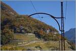 Vom alten Fahrleitungsmast der ASD eingerahmt, schiebt der A-L BDeh 4/4 kurz nach Aigle seinen Bt durch die Weinberge in Zug in Richtung Leysin.