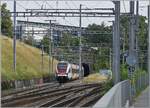 Auf den ersten Blick, eine banale Aufnahme: ein Nachschuss auf einen SBB LEX RABe 522; das Besondere: der SBB RABe 522 229 ist als RL7 23535 auf dem Weg von Annemasse nach Vernier und verl�sst in Jonction die CEVA Strecke, um �ber die Verbindungslinie nach Vernier zu gelangen. Diese Verbindungslinie wurde bis zum Fahrplanwechsel 2025/26 nicht von Reisez�gen genutzt und ist mit 25000 Volt 50 Hertz elektrifiziert. Sie dient dem (schwachen) G�terverkehr von Gen�ve La Praille nach Frankreich, bzw. dem lokalen G�terverkehr. 

23. Juli 2023