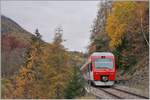 Der TMR RegionAlps RABe 525 041 (UIC 94 85 7525 041-0 CH-RA) ist von Sembracher nach Orsières unterwegs und fährt kurz nach Orsières durch einen bunten Herbstwald.