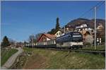 Der MOB Alpina ABe 4/4 93.01 und ein weiterer sind bei Planchamp mit dem MOB Belle Epoque Zug von Zweisimmen nach Montreux unterwegs.