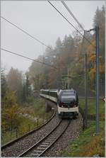 Eine eher ungewöhnliche Komposition, hier als Nachschuss, ist bei Sendy-Sollard auf dem Weg nach Montreux.