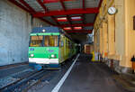 Der tpc AL BDeh 4/4 313 „La Berneuse“ (2.