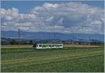 Die LEB wird auch  La Ligne Verte  (Die Grüne Linie) genannt, wobei ein Blick auf die vielen Grüntöne zeigt, dass diese Bezeichnung mehr als passend ist.