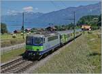 Die BLS Re 4/4 II 504 ist mit ihrem EW III RE bei Faulensee von Zweisimmen nach Interlaken Ost unterwegs.