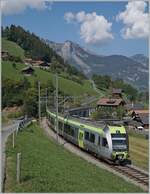 Ein BLS RABe 535  Lötschberger  ist als Regionalzug bei Garstatt auf dem Weg nach Zweisimmen.