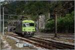 Mit dem Bt 955 an der Spitze erreicht ein BLS Autotunnelzug den Bahnhof von Iselle.