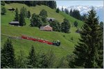 Ein Brienz Rothorn Bahn (BRB) Dampfzug auf Talfahrt kurz nach Planalp.