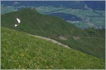 Talwärts, Brienz entgegen ruckelt der BRB Dampfzug.