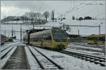 Der  Lenker -Pendel erreicht Zweisimmen  24.11.2013