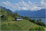 Die MOB Ge 4/4 8002 fährt mit ihrem MOB Golden Pass Panoramic Express PE 2234 durch die Rebberge oberhalb von Montreux Zwischen Châtelard VD und Planchmp in Richtung Zweisimmen.