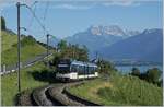 Der MVR ABeh 2/6 7507 ist zwischen Châtelard VD und Planchamp als Regionalzug 2364 nach Sonzier unterwegs.