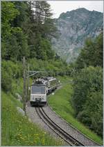 Die beiden Bhe 4/8 304 und 305 auf der Fahrt zum Gipfel des Rochers de Naye der sich in der Ferne schon zeigt.