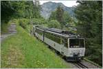 Die beiden Bhe 4/8 304 und 305 auf der Fahrt zum Rochers de Naye kurz nach Haut de Caux.