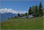 Die MOB Ge 4/4 8004 ist mit dem Golden Pass Express GPX 4074 von Montreux nach Interlaken Ost bei Les Avants unterwegs, seit kurzem zeigt sich der GPX auf der Schmalspur nun fünfteilig, der Grund