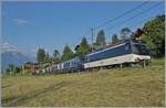 Des öfteren habe ich bereits angedeutet, dass  meine  gern genutzten MOB Fotostellen in der näheren Umgebung sich infolge Gegenlicht kaum für den GoldenPass Express eignen. Nun habe ich eine Ausnahme gefunden: Bei Les Avants im Hochsommer ist der erste Zug perfekt im Licht und zudem in seiner ganzen, nun normalen Länge zu sehen: Die MOB Ge 4/4 8002 ist mit dem Golden Pass Express GEX 4064 von Montreux nach Interlaken Ost kurz vor Les Avants unterwegs. In Zweisimmen wird eine BLS Re 465 die MOB Ge 4/4 8002 ablösen. Im Hintergrund die Walliser- und Savoyer Alpen und weit unten der Lac Léman.
Zum Schluss die Bildvariante mit dem Bildfüllenden GPX. 

 28. Juni 2024 
