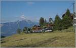 Des öfteren habe ich bereits angedeutet, dass  meine  gern genutzten MOB Fotostellen in der näheren Umgebung sich infolge Gegenlicht kaum für den GoldenPass Express eignen. Nun habe ich eine Ausnahme gefunden: Bei Les Avants im Hochsommer ist der erste Zug perfekt im Licht und zudem in seiner ganzen, nun normalen Länge zu sehen: Die MOB Ge 4/4 8002 ist mit dem Golden Pass Express GEX 4064 von Montreux nach Interlaken Ost kurz vor Les Avants unterwegs. In Zweisimmen wird eine BLS Re 465 die MOB Ge 4/4 8002 ablösen. Im Hintergrund die Walliser- und Savoyer Alpen und weit unten der Lac Léman. 28. Juni 2024 