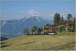 Des öfteren habe ich bereits angedeutet, dass  meine  gern genutzten MOB Fotostellen in der näheren Umgebung sich infolge Gegenlicht kaum für den GoldenPass Express eignen. Nun habe ich eine Ausnahme gefunden: Bei Les Avants im Hochsommer ist der erste Zug perfekt im Licht und zudem in seiner ganzen, nun normalen Länge zu sehen: Die MOB Ge 4/4 8002 ist mit dem Golden Pass Express GEX 4064 von Montreux nach Interlaken Ost kurz vor Les Avants unterwegs. In Zweisimmen wird eine BLS Re 465 die MOB Ge 4/4 8002 ablösen. Im Hintergrund die Walliser- und Savoyer Alpen und weit unten der Lac Léman.

Da nicht nur der Zug selbst, sondern auch die Landschaft ein Foto wert sind, zeig ich hier gleich drei Bilder mit mehr oder weniger Zug bzw. Landschaft in der Hoffnung, das jeder das seine findet und die Bilder nicht langweilen.  

28. Juni 2024 