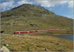 Bernina Express kurz vor Lagalb.