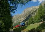 RhB Ge 4/4 III 647 mit einem Albula Schnellzug im Val Bever.