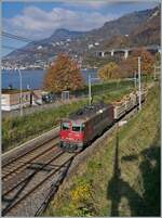 Die SBB Re 4/4 II 11243 (Re 420 243-8 )  Smile  ist mit einem Güterzug bei Villeneuve auf dem Weg in Richtung St-Maurice. 

14. Nov. 024