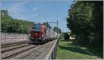 Kurz nach Concise zeigt sich im typischen Sommerlicht die von SBB Cargo angemietete 193 068 mit einem Rail-Care Zug auf der Fahrt nach Vufflens la Ville.

5. Juli 2025 