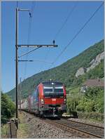 Kurz nach dem bergang von Doppel- auf Einspur bei Ligerz konnte ich die 193 051 mit einer weiteren SBB Cargo 193 fotografieren. Der Gterzug ist auf dem Weg in Richtung Biel/Bienne. 

11. Juli 2025