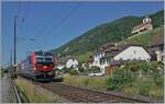 Zwei Vectrom (und eine  kalte  Re 4/4 II) sind bei Ligerz mit einem Güterzug auf der Fahrt in Richtung Biel/Bienne. Die Lok an der Zugsspitze ist die 193 064.

19. Juni 2025