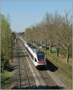 Zwei Seehas Flirt nach Engen bei Allensbach.