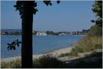 In der Ferne, auf der Rheinbrücke ist ein  Seehaas  kurz vor der Ankunft in Konstanz zu erkennen.