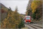 Der TMR RegionAlps RABe 525 041 (UIC 94 85 7525 041-0 CH-RA) ist von Sembracher nach Orsières unterwegs und fährt kurz nach Orsières durch einen bunten Herbstwald.