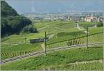 Blick auf das verschlungen ASD Trasse in den Weinbergen oberhalb von Aigle.