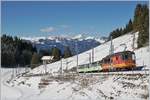 Der TPC BVB BDeh 4/4 82 mit ihrem Zug auf Talfahrt kurz vor der Station Col-du-Soud.