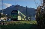 Der TPC Beh 2/6 544 bei St-Triphon auf der Fahrt in Richtung Aigle.