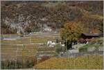 Ein A-L Regionalzug ist kurz nach Aigle auf dem Weg nach Leysin.