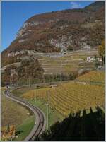 In den Weinbergen bei Aigle zeit sich im Vordergrund die Strecke der ASD, im Hintergrund ein A-L Zahnradzug auf dem Weg nach Leyin.