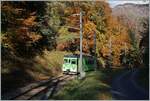 Nach der Kurzwende in Aigle  von nur einer Minute kommt der TPC ASD BDe 4/4 402 bereits wieder durch den bunten Herbstwald bei Verschiez gefahren.