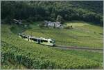 Mit grossen Schleifen führt das Trasse der ADS oberhalb von Aigle durch die Weinberge und gewinnt damit die nötige Höhe.