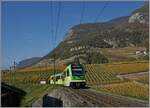 Bei tiefem Sonnenstand erreicht das Licht das Château d'Aigle zu spät, als dass als Hintergrund für Bahnbilder entsprechend ausgeleuchtet wird und so musste ich mich für diese Aufnahme eine neue Stelle suchen, an welcher dann mitten in den Weinbergen oberhalb von Aigle der TPC ASD ABe 4/8 472 als R 71 auf der Fahrt nach Les Diablerets fotografiert wurde. 

2. November 2024 