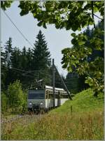 Der Rochers de Naye Beh 4/8 305 kommt erreicht als Regionalzug 3360 in Krze die Haltestelle Crt-y-Bau.