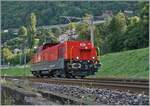 Die SBB Aem 940 025 ist bei Villeneuve auf dem Weg in Richtung Wallis. 

6. Sept. 2024
 