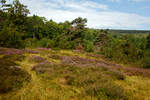   Ein Hauch von Lüneburger Heide in der Mitte Deutschlands: In der Gambach bei Burbach können Besucher die letzte große Wacholderheide des Siegerlandes.