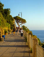 Die Bank am Baum ist frei, so hat es Margareta eilig...
Riomaggiore (Cinque Terre) am 21.07.2022 kurz vor 20:00 Uhr, hier oben wollen wir den Sonnenuntergang beobachten.
