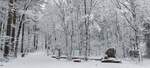 Denkmal am Parkplatz zum Gedenken an die Ardennenoffensive 1944/45 mit dem Start zum Rundweg, nahe dem Schumann bei Wiltz, mit fast den selben Wetter Konditionen wie im Winter 1944/45.  11.01.2026