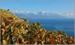 Whrend im Lavaux der Herbst eingezogen ist,zeigt der Winter in den Bergen das er nicht mehr in allzu grosser Ferne ist.